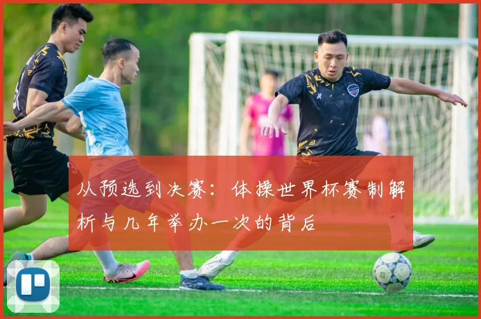 从预选到决赛：体操世界杯赛制解析与几年举办一次的背后